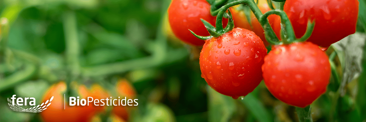 Emailheader - Biopesticides nov